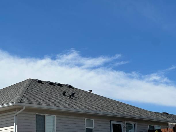 Best Roof Leak Repair  in New Paris, OH